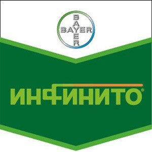 Инфинито, КС : 5л