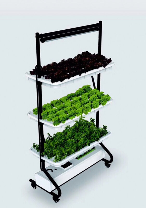 Growsvet Hydro Salat 3 + light