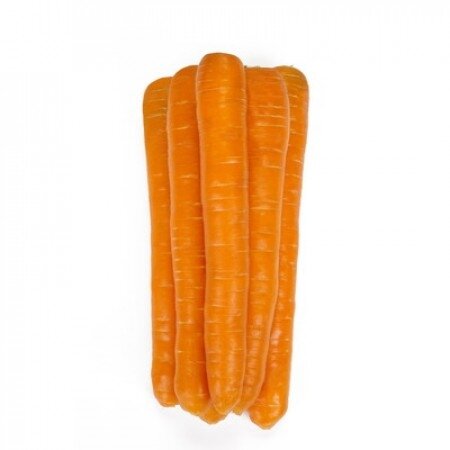 Морковь морелия F1 1,8-2,0 (25 000 семян) Rijk Zwaan