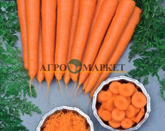 Морковь волкано F1 (500 000 семян) Vilmorin