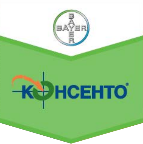 Консенто, КС : 5л