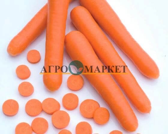 Морковь болеро F1 (500 000 семян) Vilmorin