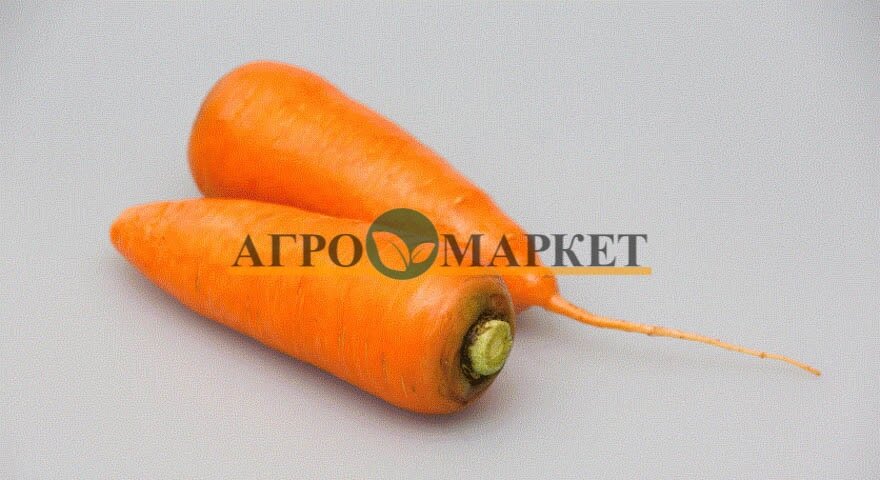 Морковь абако F1 2,0-2,2 (200 000 семян) Seminis